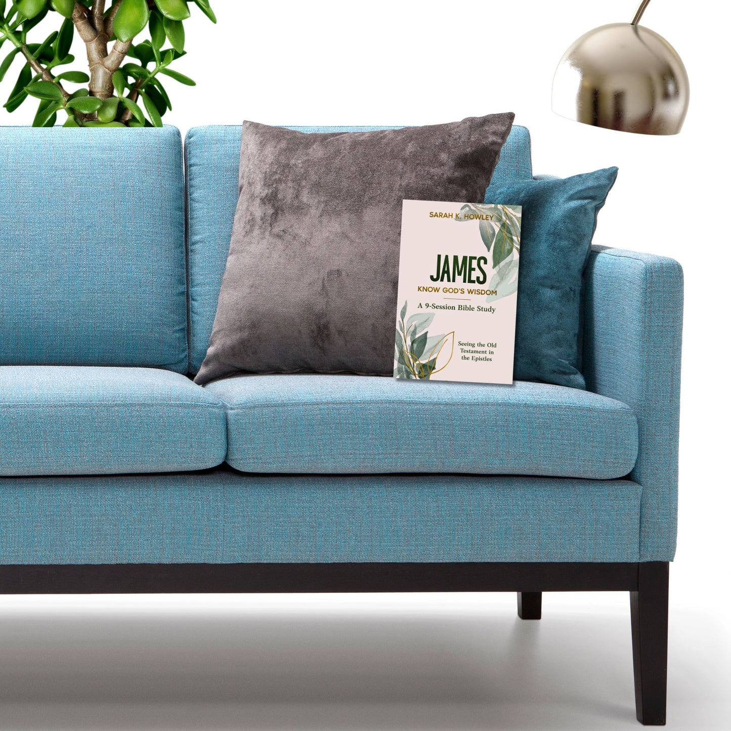 Blue sofa with a Bible study titled 'James: Know God's Wisdom' by Sarah Howley on it, surrounded by decorative pillows and a plant.