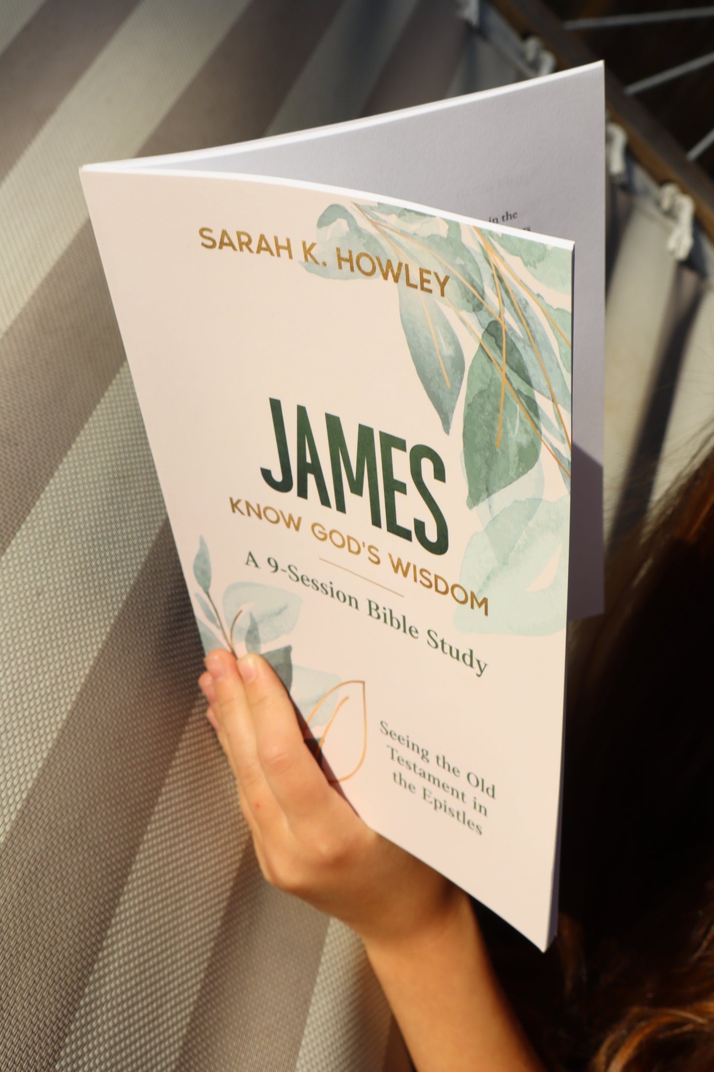 Hand holding a book titled 'James: Know God's Wisdom' by Sarah K. Howley against a striped background